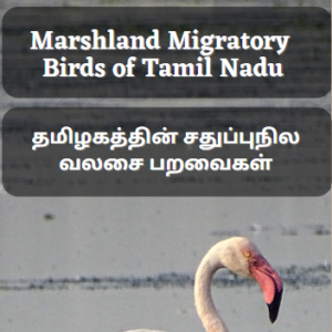 Marshland Migratory Birds of Tamil Nadu- Trifold Guide- Pack of 5