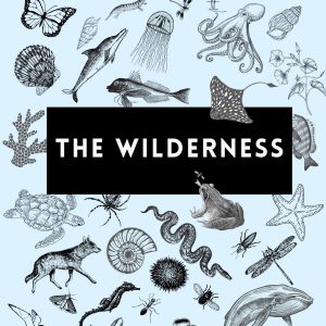 ‘The Wilderness’ – An Ecology-based card game