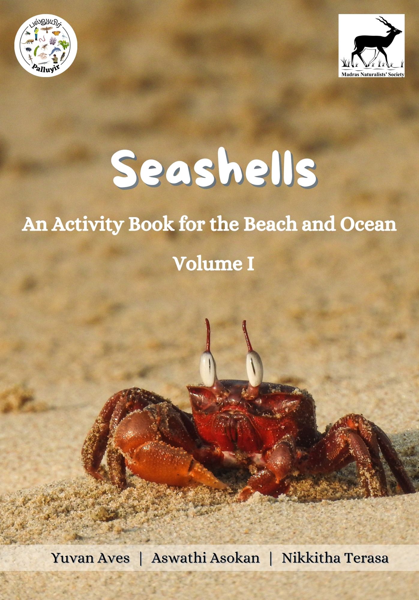 You are currently viewing Seashells- Activity Book