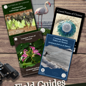 Field Guides- Combo Pack