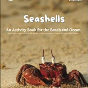 Seashells : An Activity Book for the Beach and Ocean Paperback