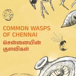 Common Wasps of Chennai